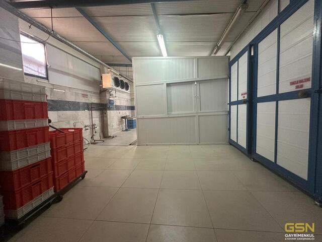 62-İZMİR BORNOVA PINARBAŞINDA SATILIK İŞYERİ VE ARAZİ